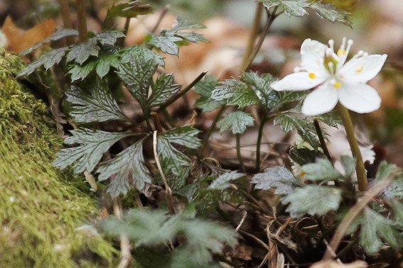 写真：筆者撮影