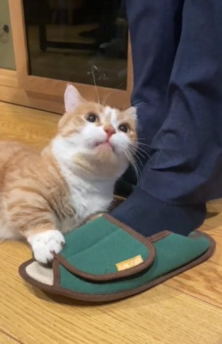 出所：@kotaro_0315