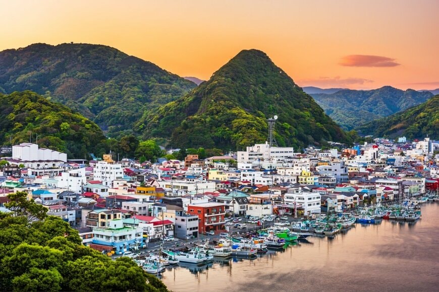 【野生が存在しているんだ】　伊豆で発見した「意外な生物」に思わず仰天