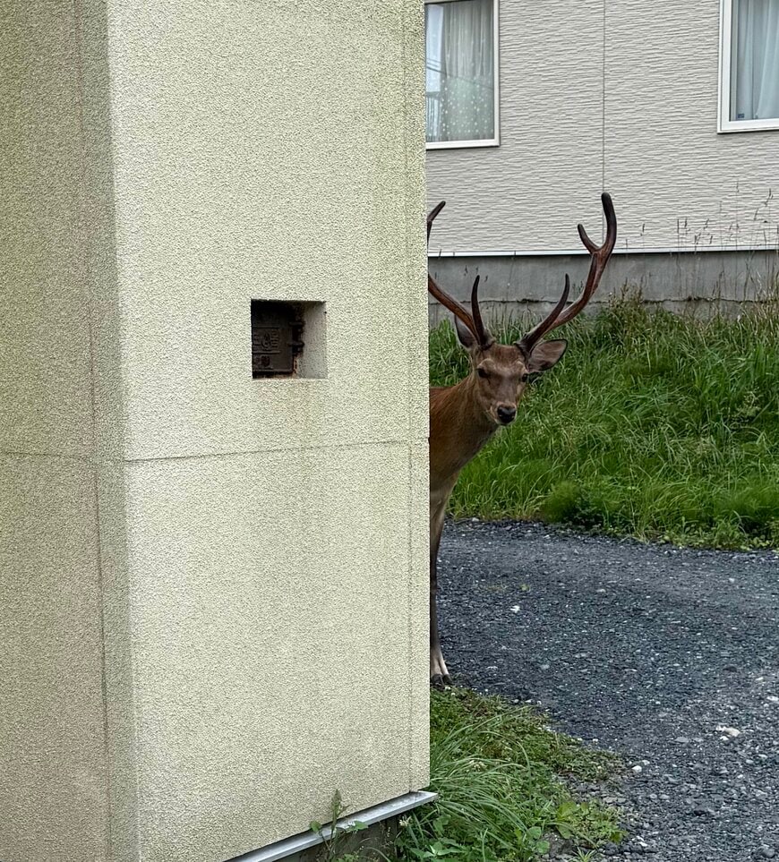 出所：@mrock722139