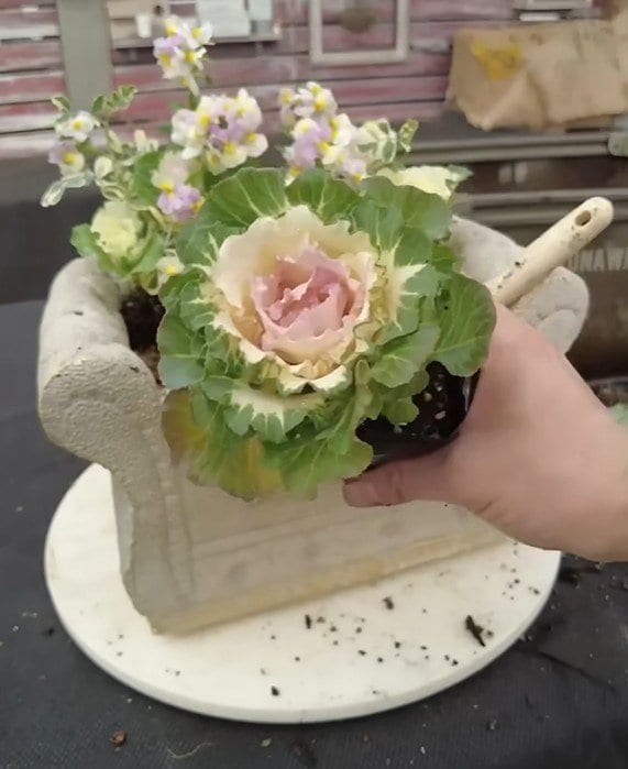 出所：@petit_fleur