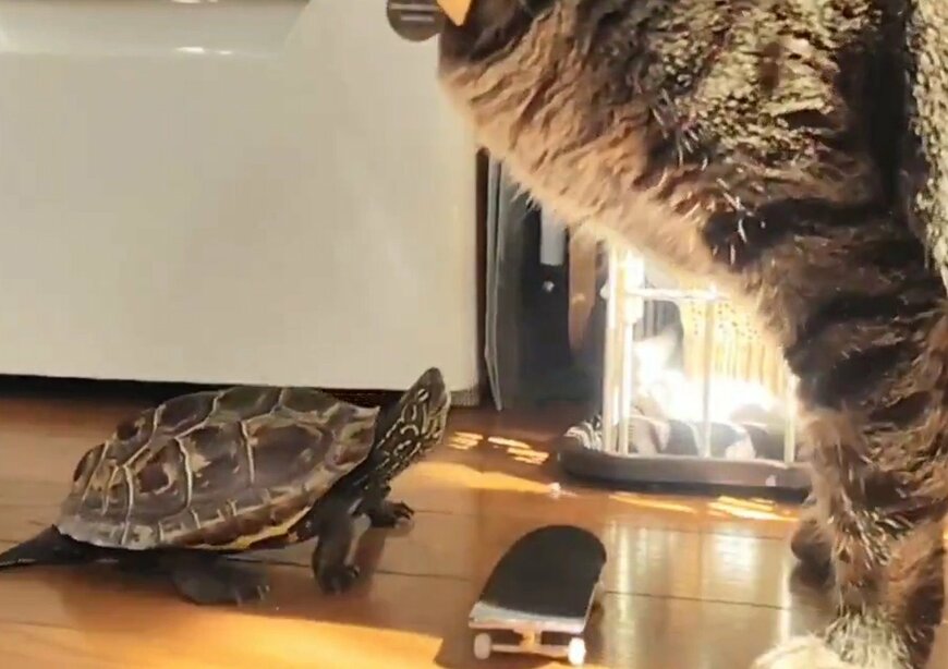 出所：@Mh0MLiErcV8E97C