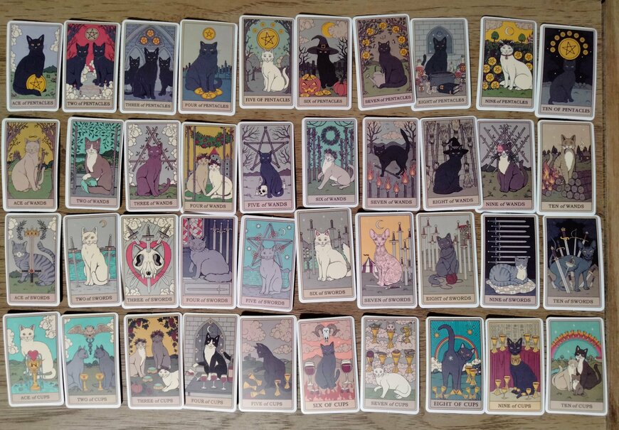 筆者撮影（SHEIN、78ピース 猫柄 アソートステッカー ビンテージ 多目的ステッカー DIYクラフト デコレーション ハンドアカウント用）