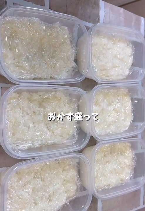35歳料理人が作る【1週間分の冷凍弁当】お肉たっぷり豚丼にとろ～りチーズが最高に美味しそう
