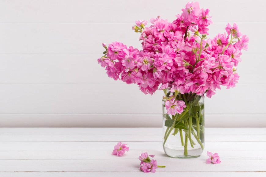 Lana_M/istockphoto.com