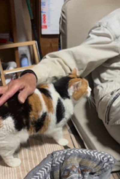 出所：@mike_noritama