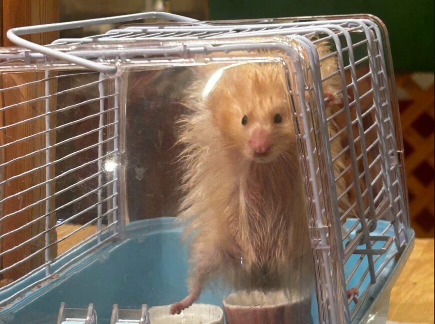 出所：@MotherLoverrrr