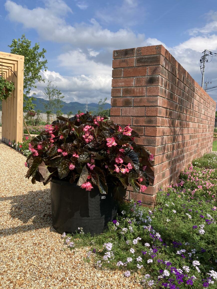 出所：サントリーフラワーズ　フォーカルポイント