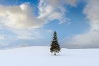 マイナス24°Cで現れた「ダイヤモンドダストの虹」　思わず叫んでしまう「北海道の絶景」に目を疑う