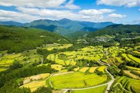 「厚生年金と国民年金」天引きされる税金・保険料4つを解説！年金受給額の一覧表