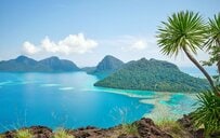 マレーシアで目撃した「あまりにも奇抜な鳥」に思わず二度見　不思議な姿に「デビルマン感あって爆笑」