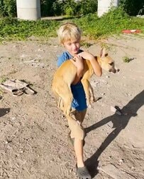 「5歳の息子と母」が放置された子犬を救助　愛に満ちた救出劇に「よくやった」