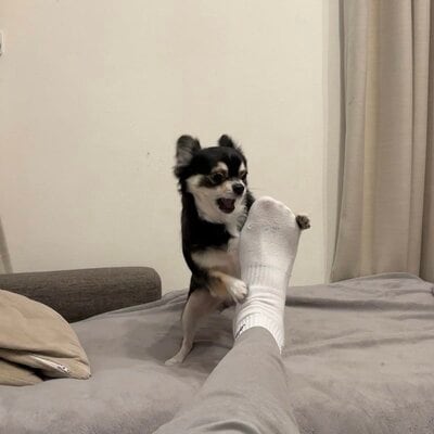 「異臭の原因はコレだった……！」（フィクションです）