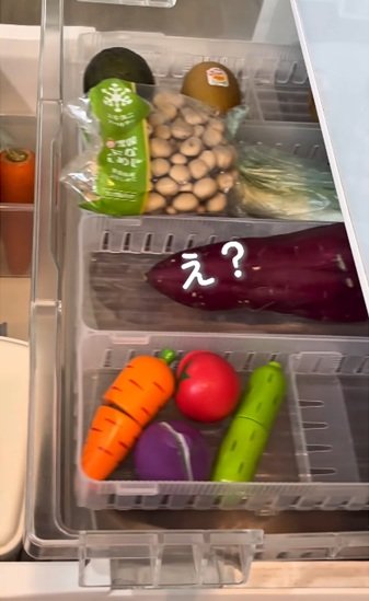 DIY前の野菜室