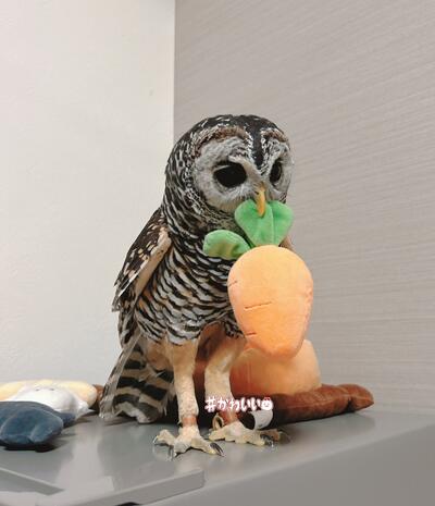 投稿写真