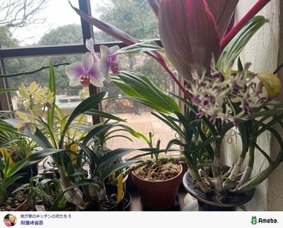 假屋崎省吾の公式ブログ投稿