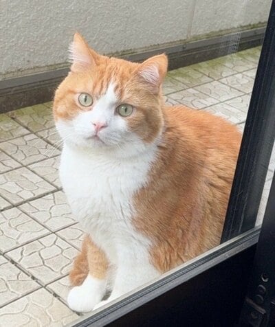 まるでお仕置きされているかのようなお顔のダーウィンちゃん