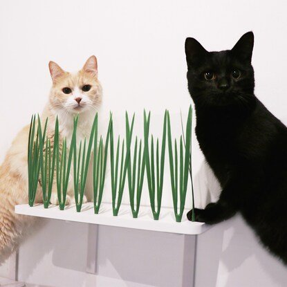 賃貸住宅でも取り付けしやすくなっています