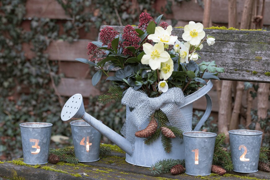 Natalia Greeske/shutterstock.com