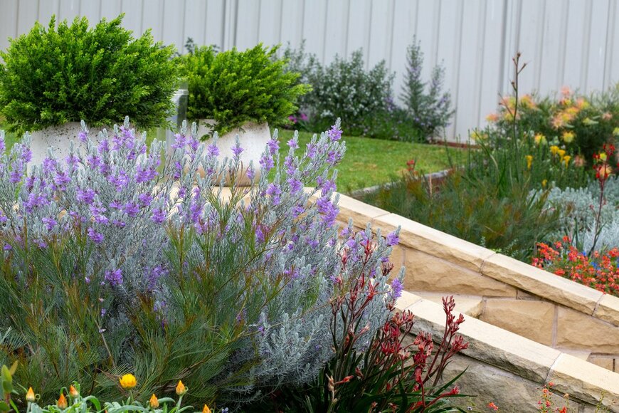 thebotanicalplanet/Shutterstock.com