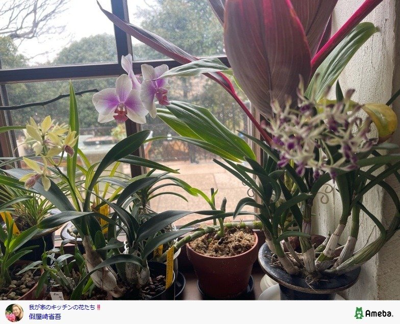 出所：假屋崎省吾の公式ブログ　参照日：2026年3月17日