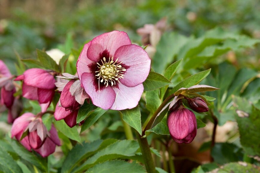 Billy_Fam/istockphoto.com