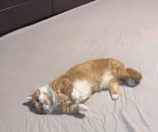 出所：@kotaro_0315