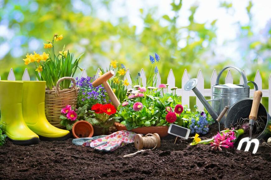 Alexander Raths/shutterstock.com