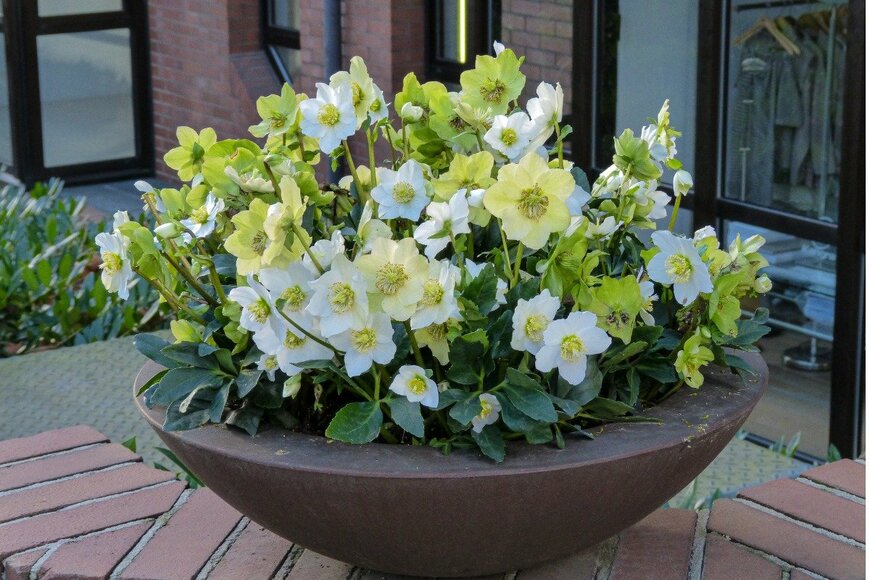 Romeo Ninov/istockphoto.com