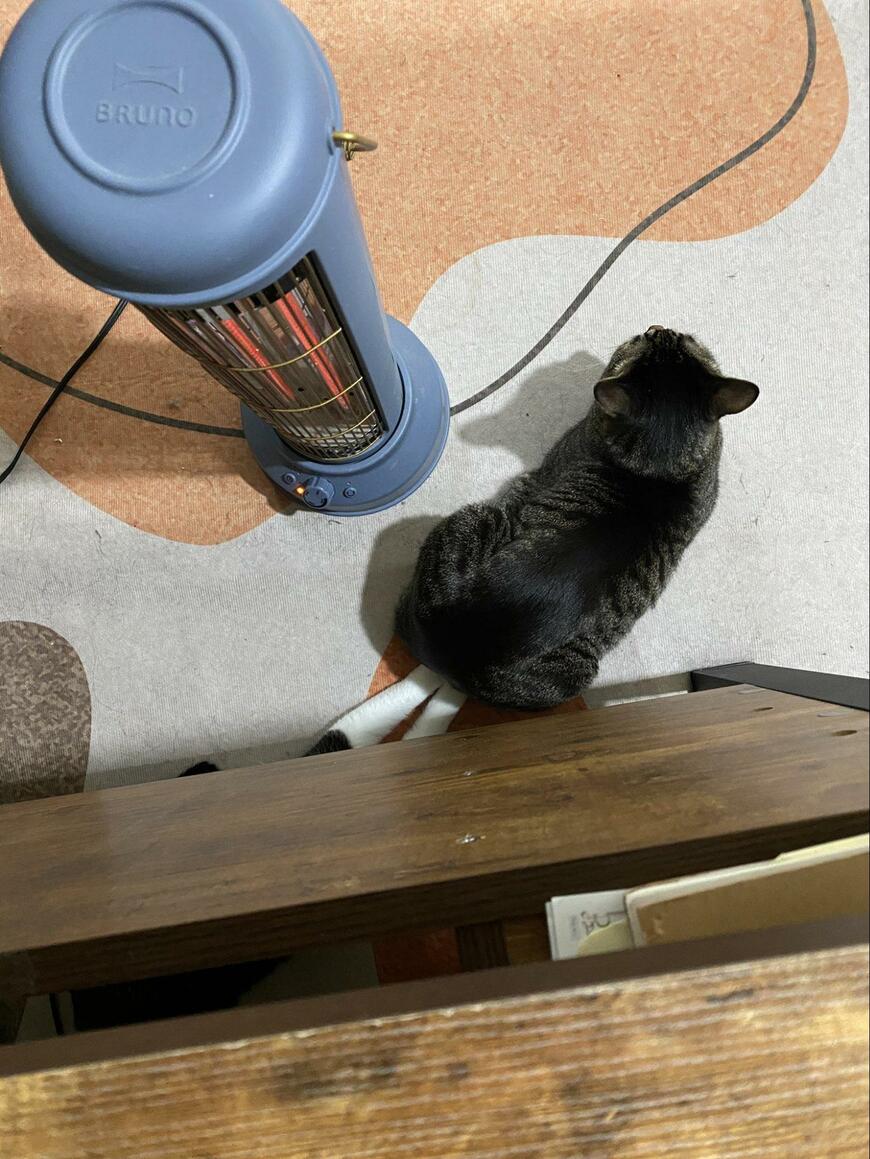 出所：@00shitemita