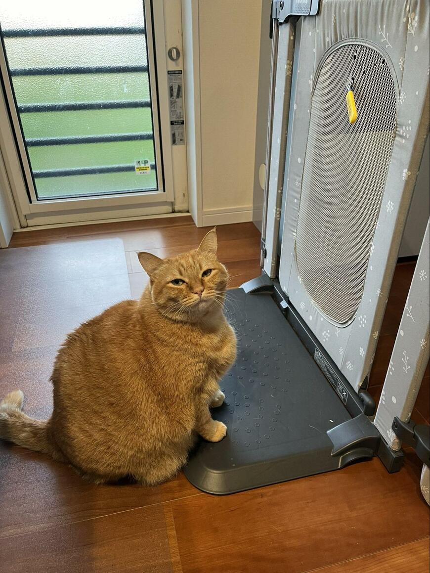 出所：@kagisuzu0531