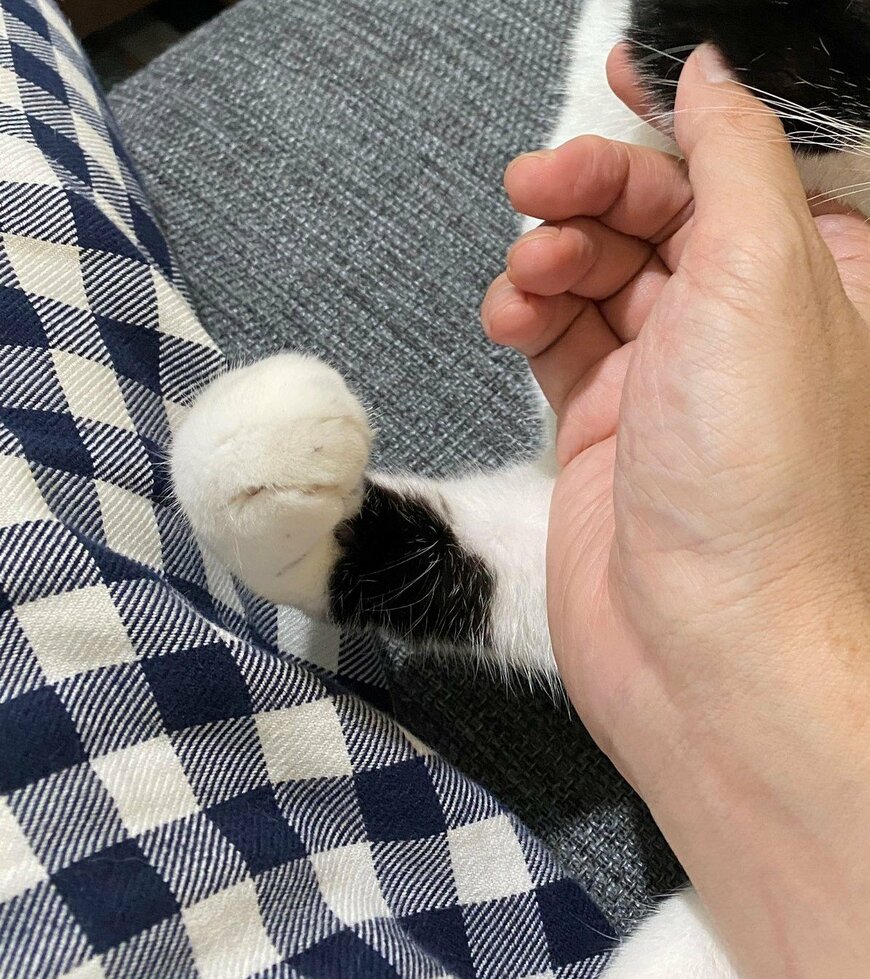 出所：@00shitemita