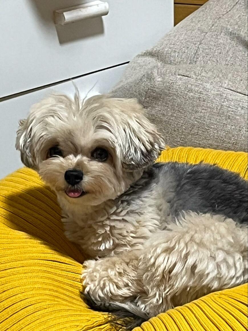 出所：@potage_0924