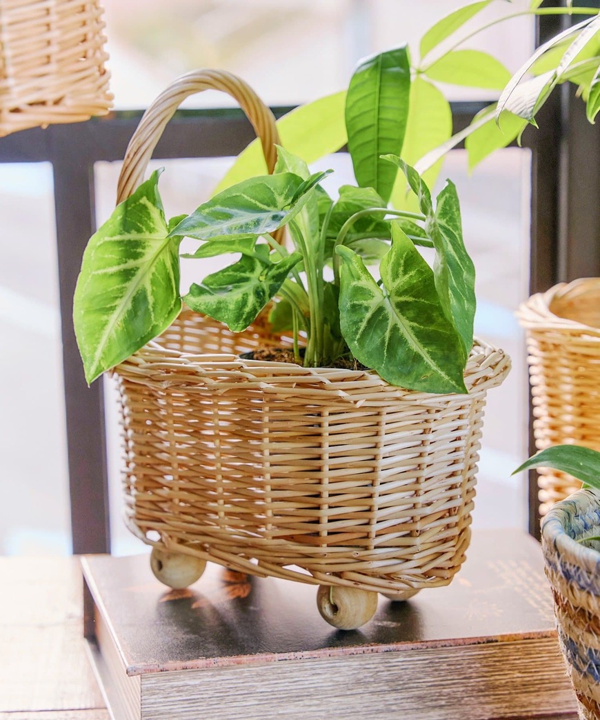 出所：パルグループ公式ファッション通販サイト　柳プチバギー