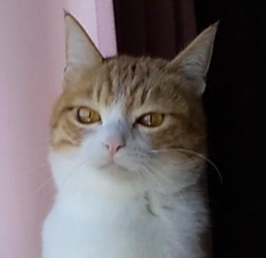 出所：@mero627puri914