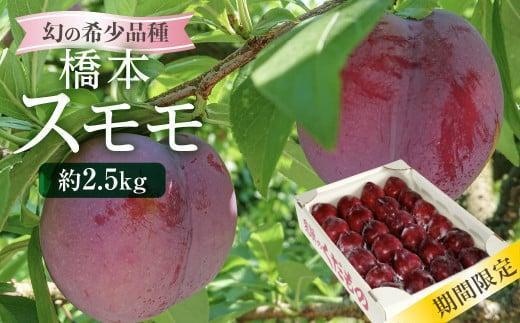 出所：ふるさとチョイス【数量限定/先行予約】幻の希少品種 橋本スモモ 約2.5kg（大玉25個前後入り）