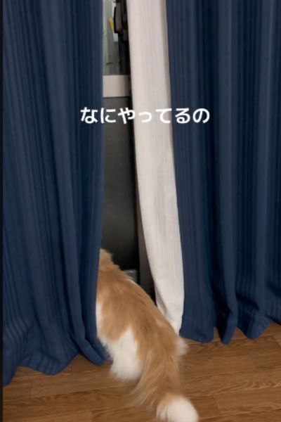 出所：＠maruta_hanakuso