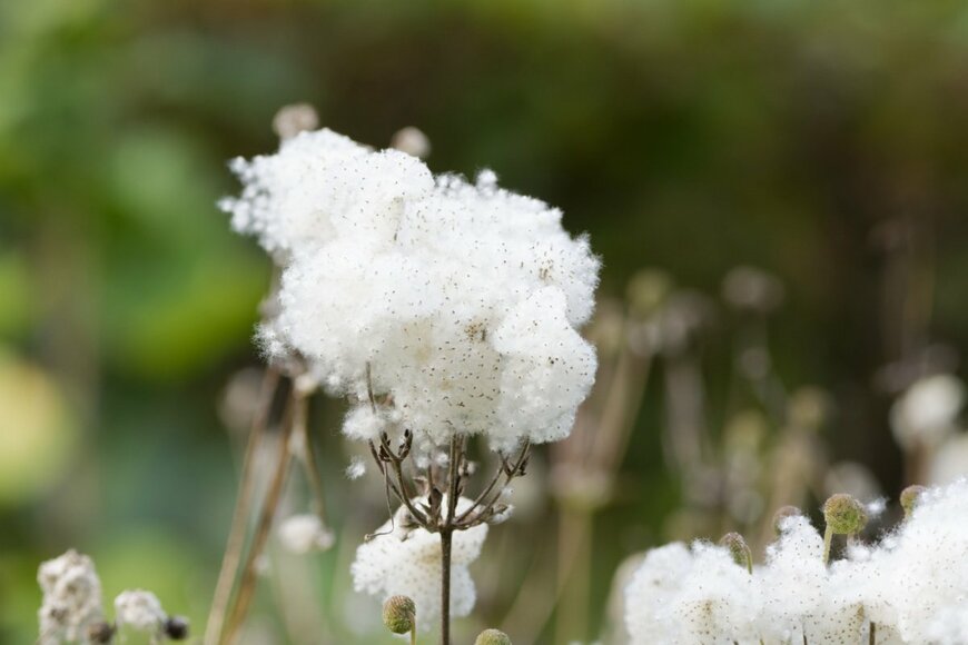 gerd-harder/shutterstock.com