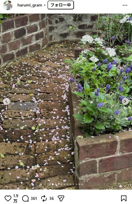 出所：栗原はるみのInstagram（＠harumi_gram）　参照日：2026年4月9日