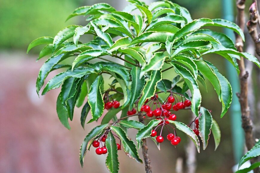 igaguri_1/istockphoto.com