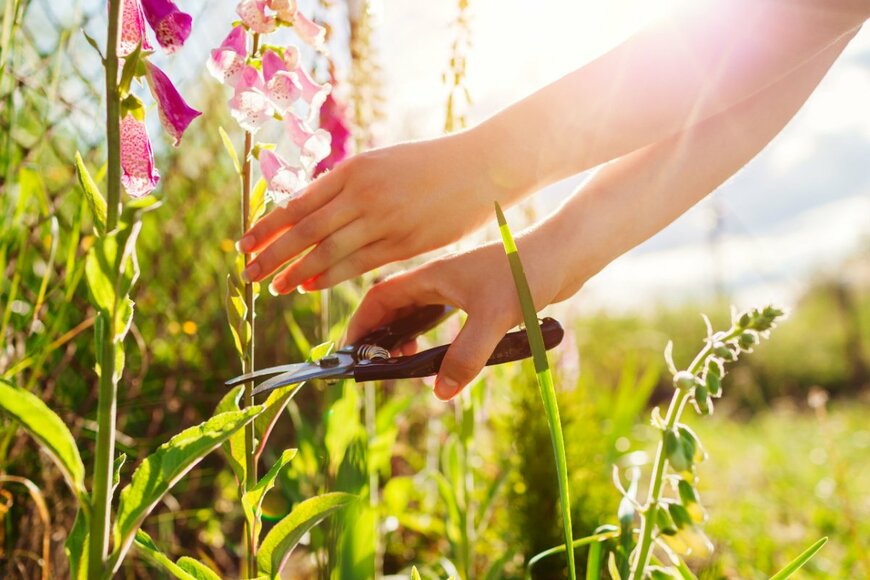 Mariia Boiko/shutterstock.com