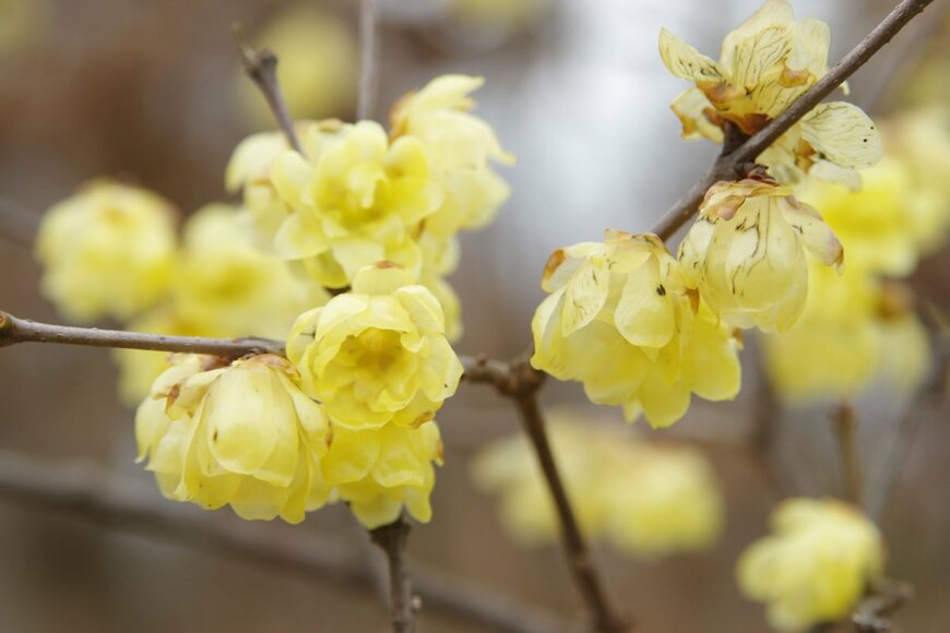 zzz555zzz/shutterstock.com