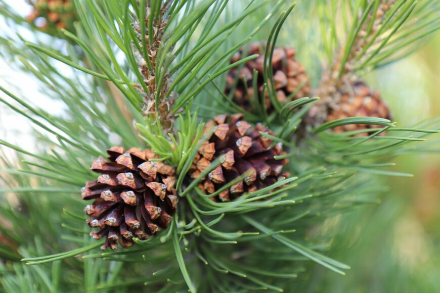 Bernd Marczak/shutterstock.com