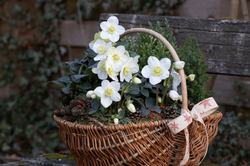 Natalia Greeske/shutterstock.com