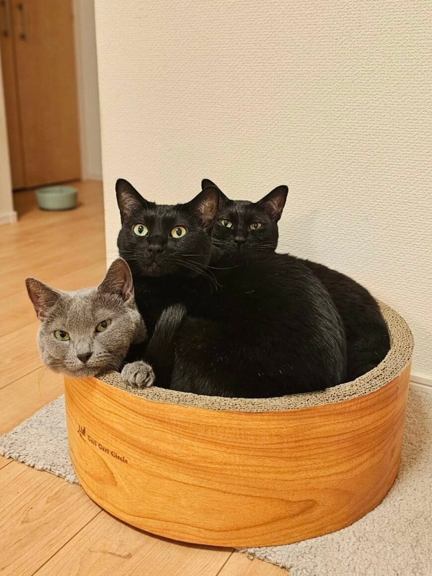 出所：@hukuhukuhappi