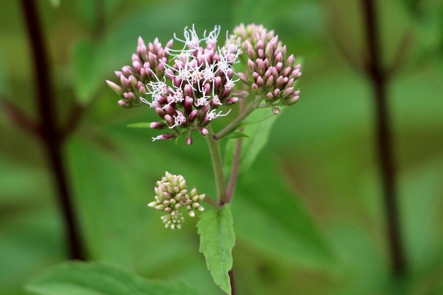 hecos255/istockphoto.com