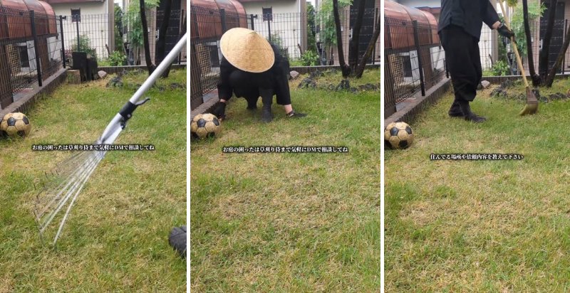 投稿の画像