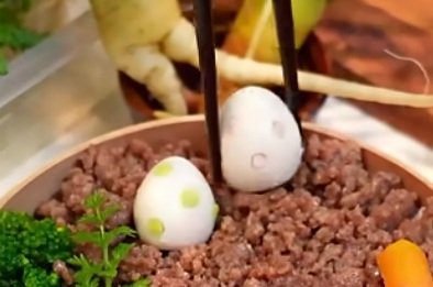 投稿動画のワンシーン