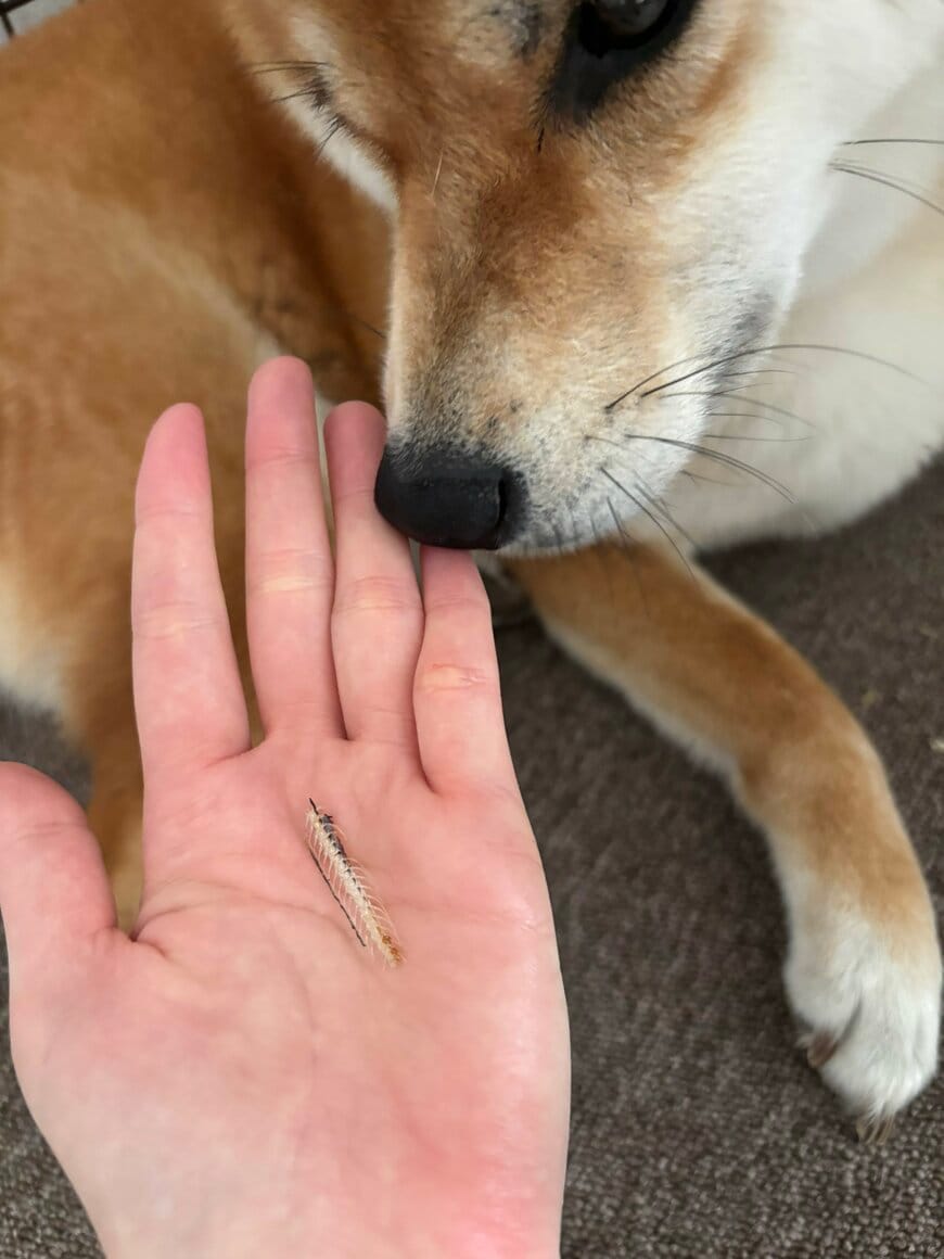 手のひらに残されたのは…