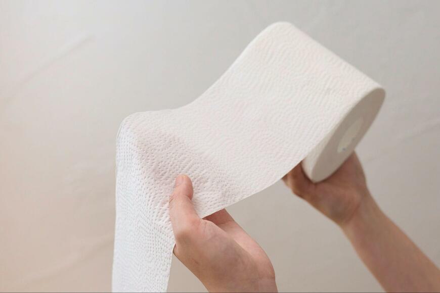 大王製紙株式会社、Theエリエールトイレットティシュー画像